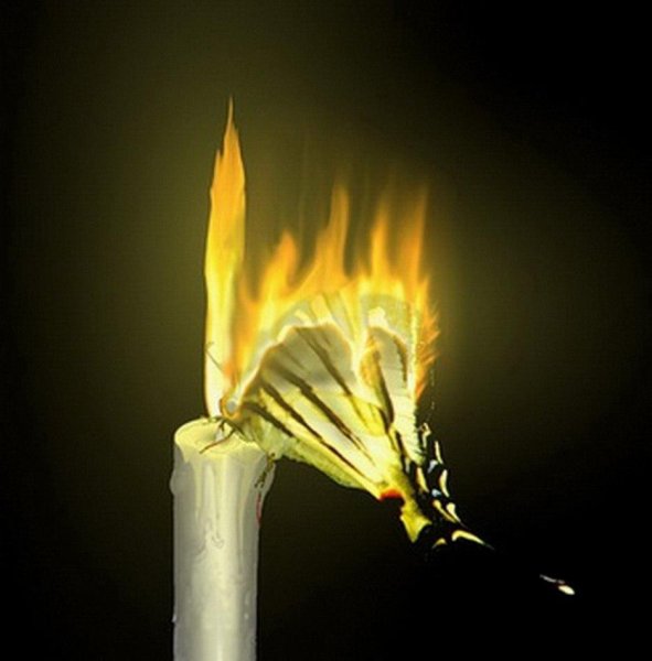 Мотылек летит на огонь