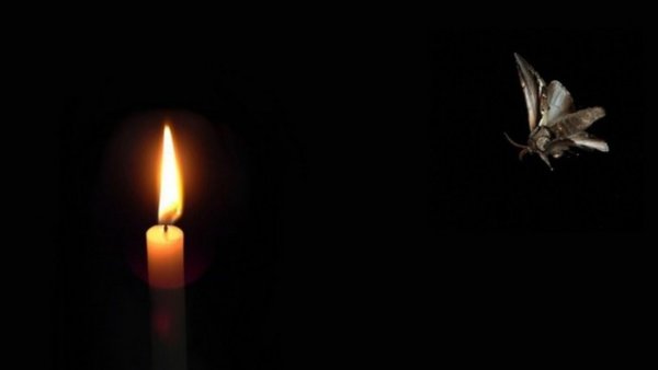 Мотылек и свеча