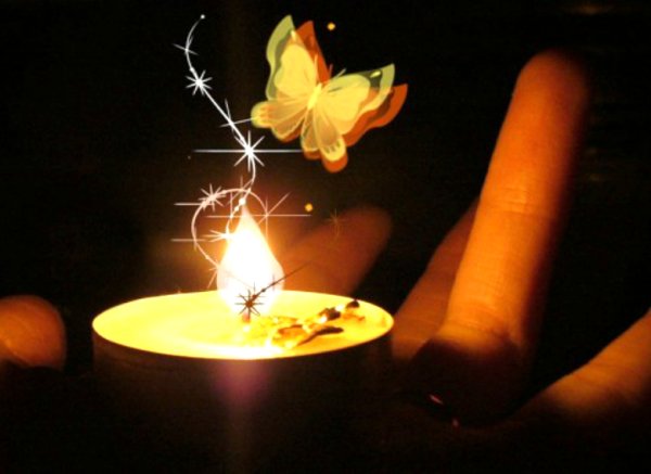 Мотылек и огонь