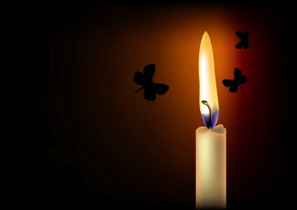 Бабочка и свеча