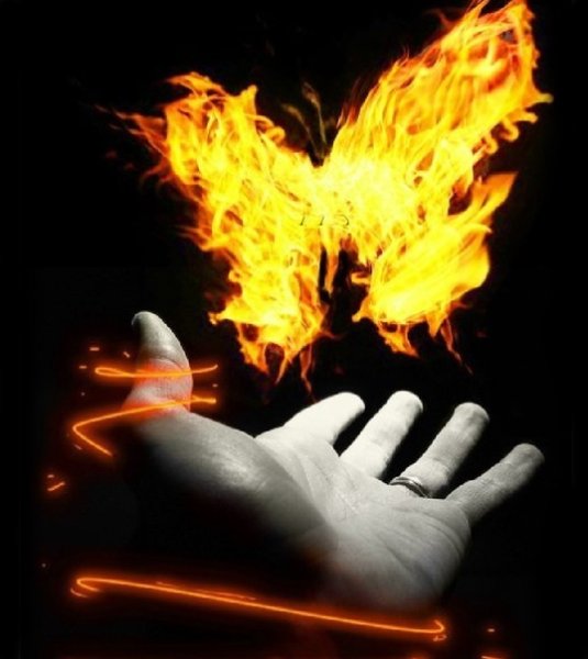 Бабочка в огне