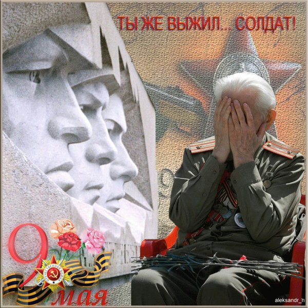 Ты выжил солдат