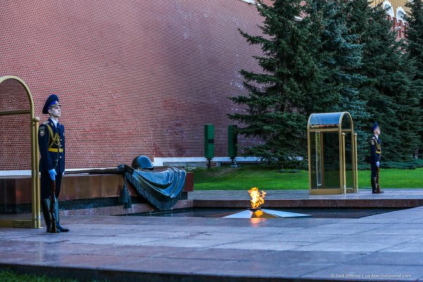 Вечный огонь Александровский парк