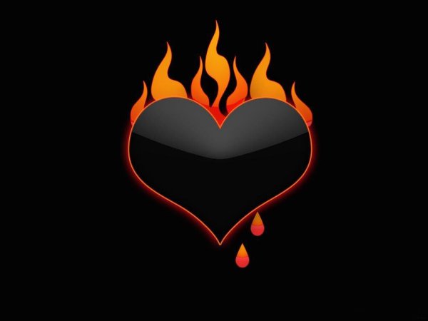 Сердце в огне