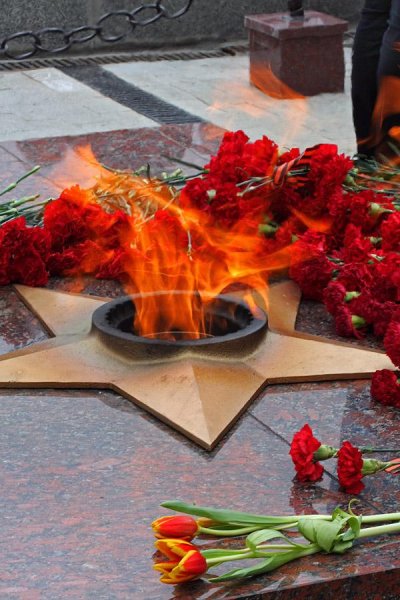 Цветы у вечного огня