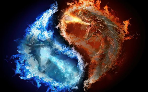 Драконы огонь и лед