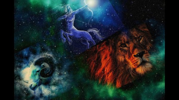 Огненный Лев и Овен