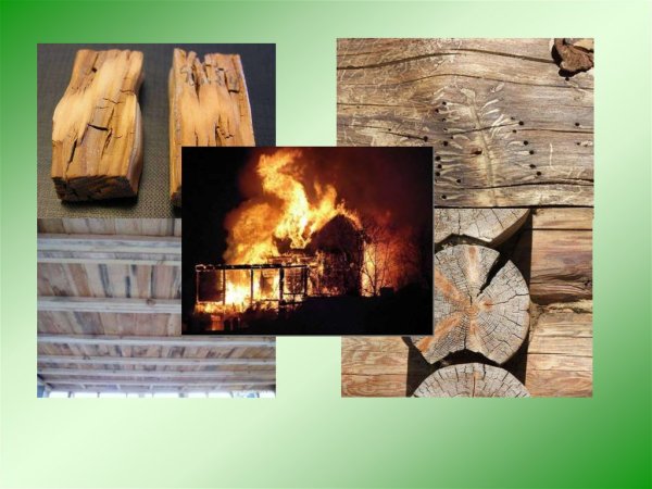 Недостатки древесины