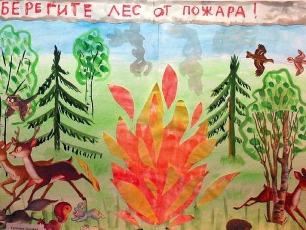 Береги лес от огня плакат