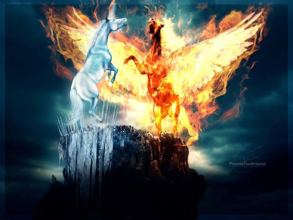 Огонь против воды