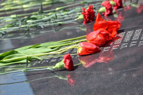 Тюльпаны, возложенные к Вечному огню