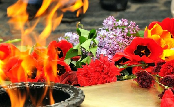 Тюльпаны у вечного огня