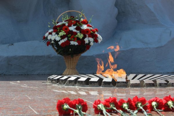 Красные гвоздики у вечного огня