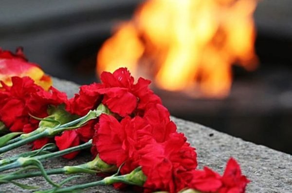 Гвоздики у вечного огня