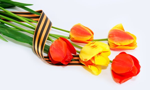 Цветы с георгиевской лентой