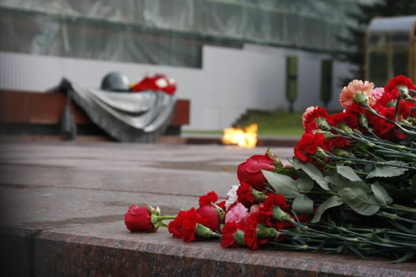 Гвоздики у вечного огня