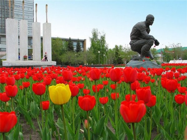 Цветы на памятник