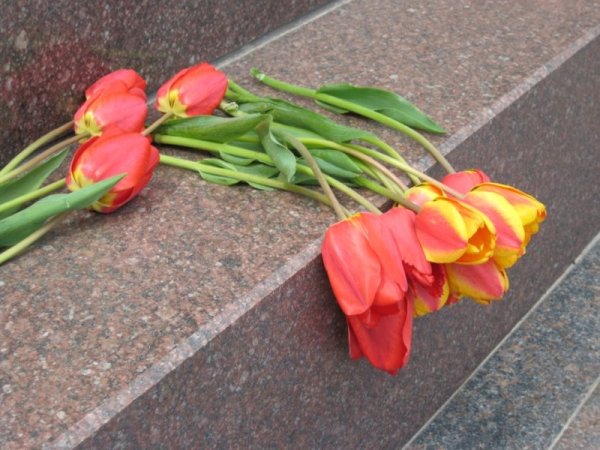 Тюльпаны война