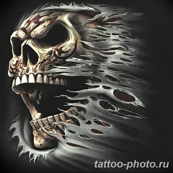 Самые крутые черепа