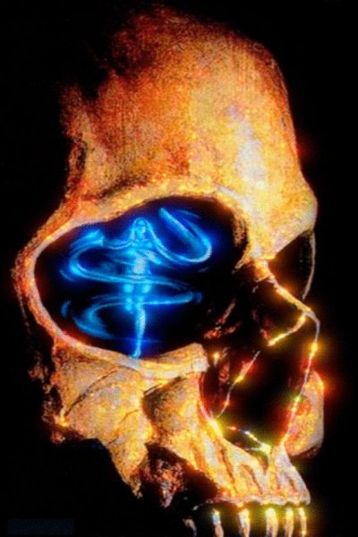 Анимационные черепа