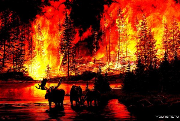 Лесной пожар картина
