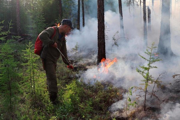 Тушение лесных пожаров в Якутии