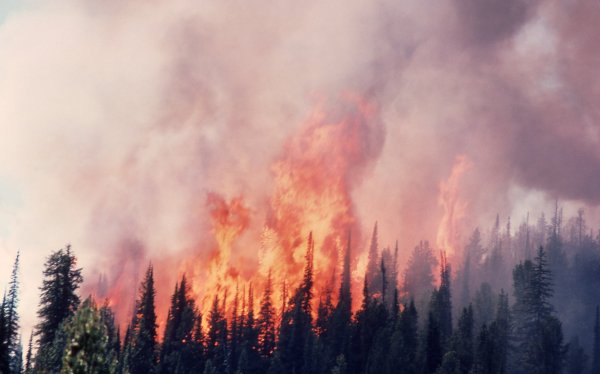 Йеллоустонский национальный парк пожары