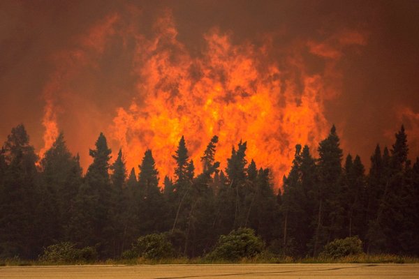 Лесной пожар Эстетика