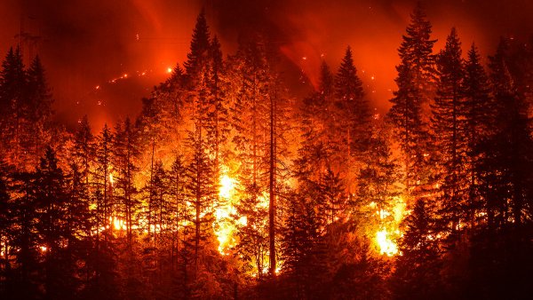 Горящий лес