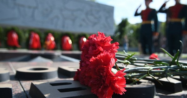 Цветок день Победы