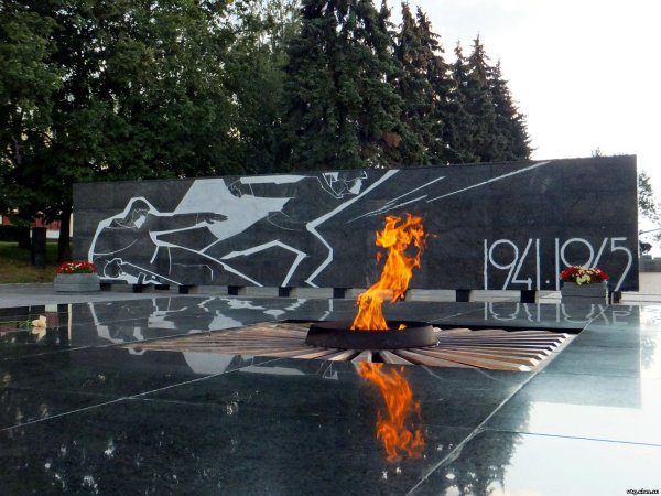 Вечный огонь Нижний Новгород мемориал