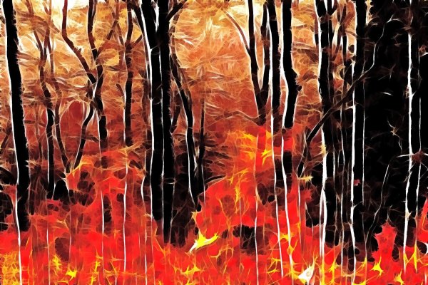 Огненный листопад