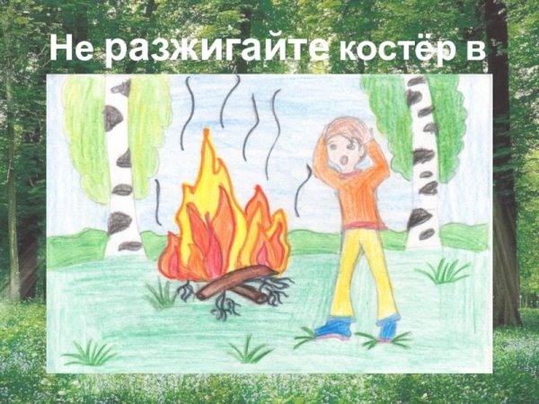 Плакат не жечь костры в лесу