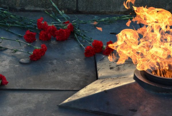 Вечный огонь с гвоздиками