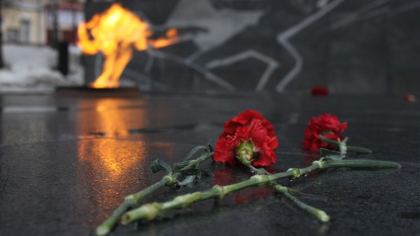 Гвоздики у вечного огня