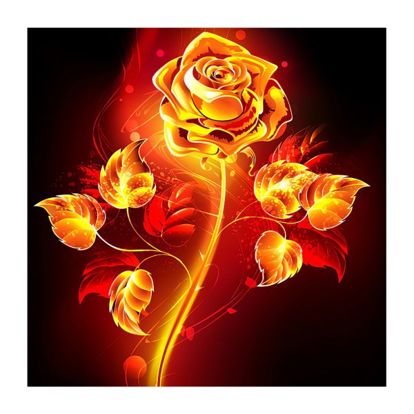 Пылающий цветок эскиз