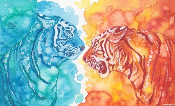 Тигр рисунок