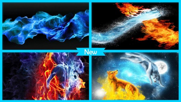 Царство огня и льда