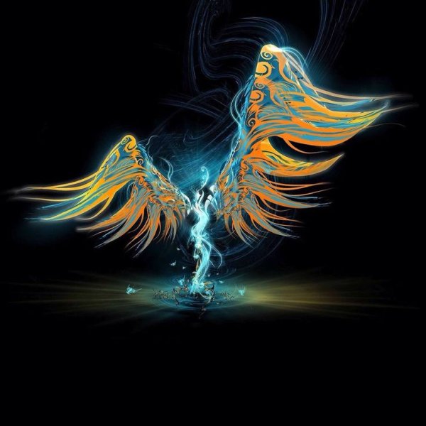 Феникс на синем фоне