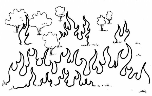 Пожар в лесу раскраска