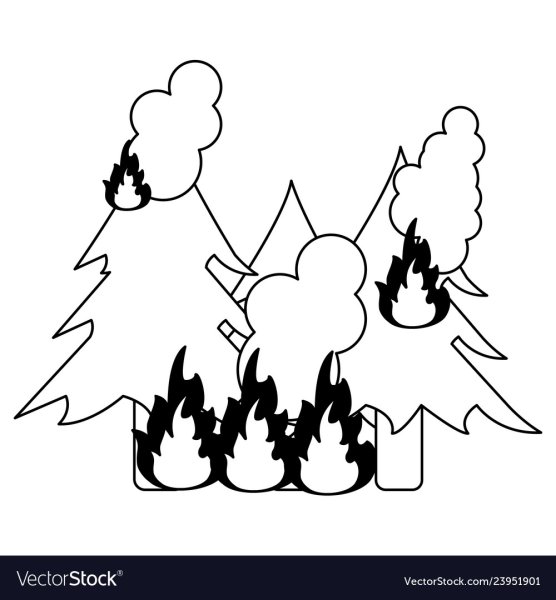 Лесной пожар рисунок черно белый