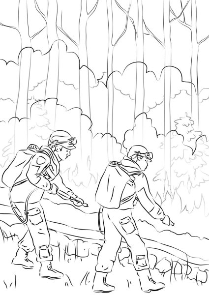 Пожар в лесу раскраска