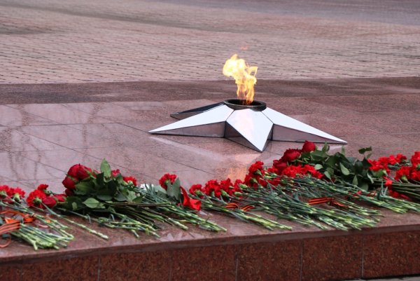 Проект аллея памяти посвященная Дню Победы