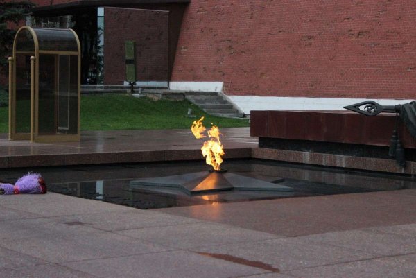 Юрий Шмидт вечный огонь