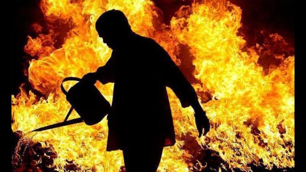 Бензин в огонь