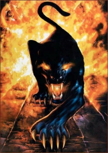 Пантера в огне