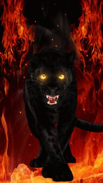 Огненные животные