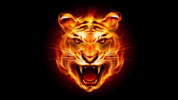 Огненный тигр
