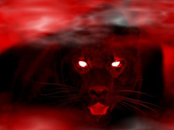 Черная Пума с красными глазами