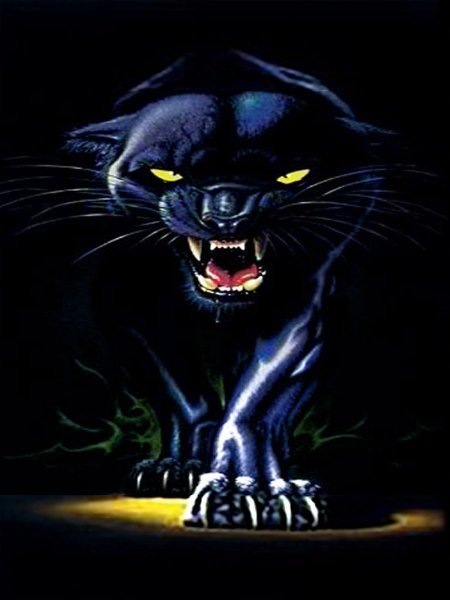 Гранни пантера ag0485